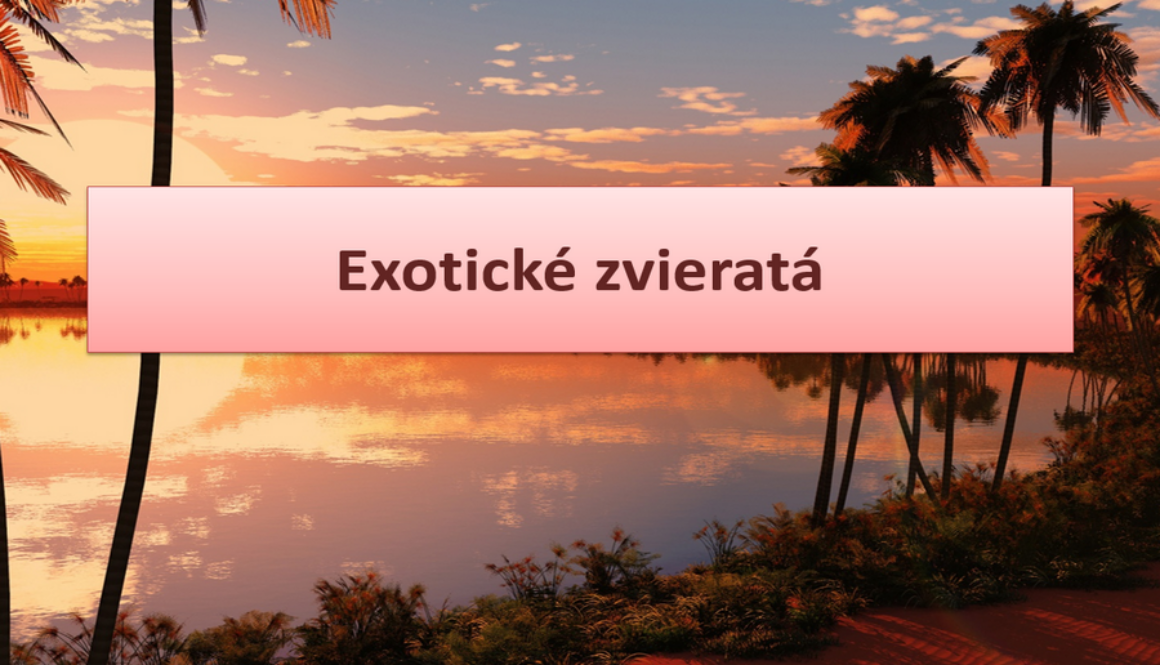 ppt-prezentacia-exoticke-zvierata