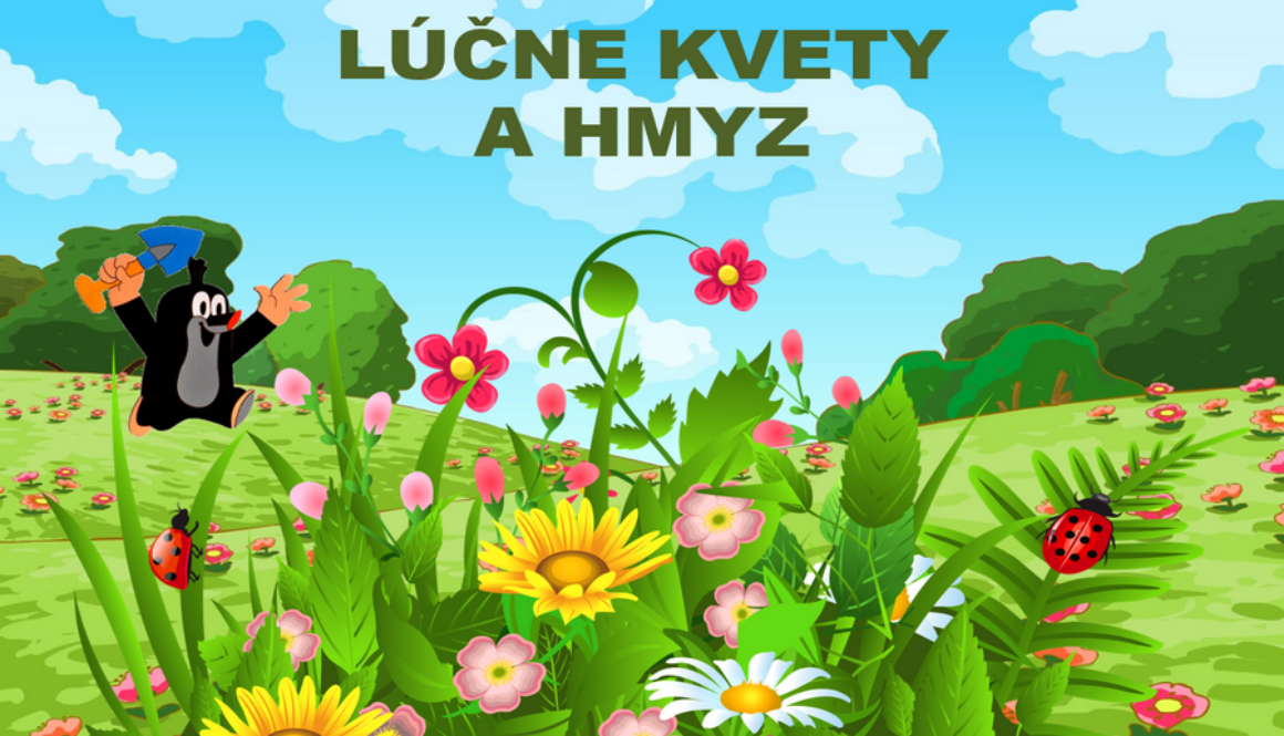 ppt-prezentacia-lucne-kvety-a-hmyz