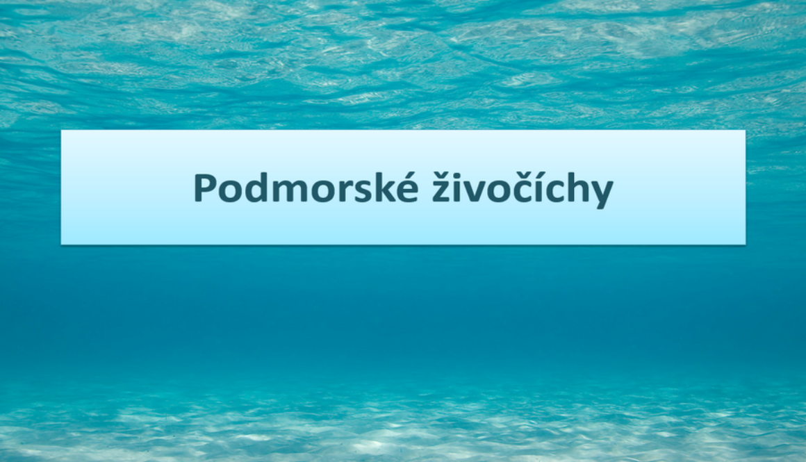 ppt-prezentacia-podmorske-zivocichy