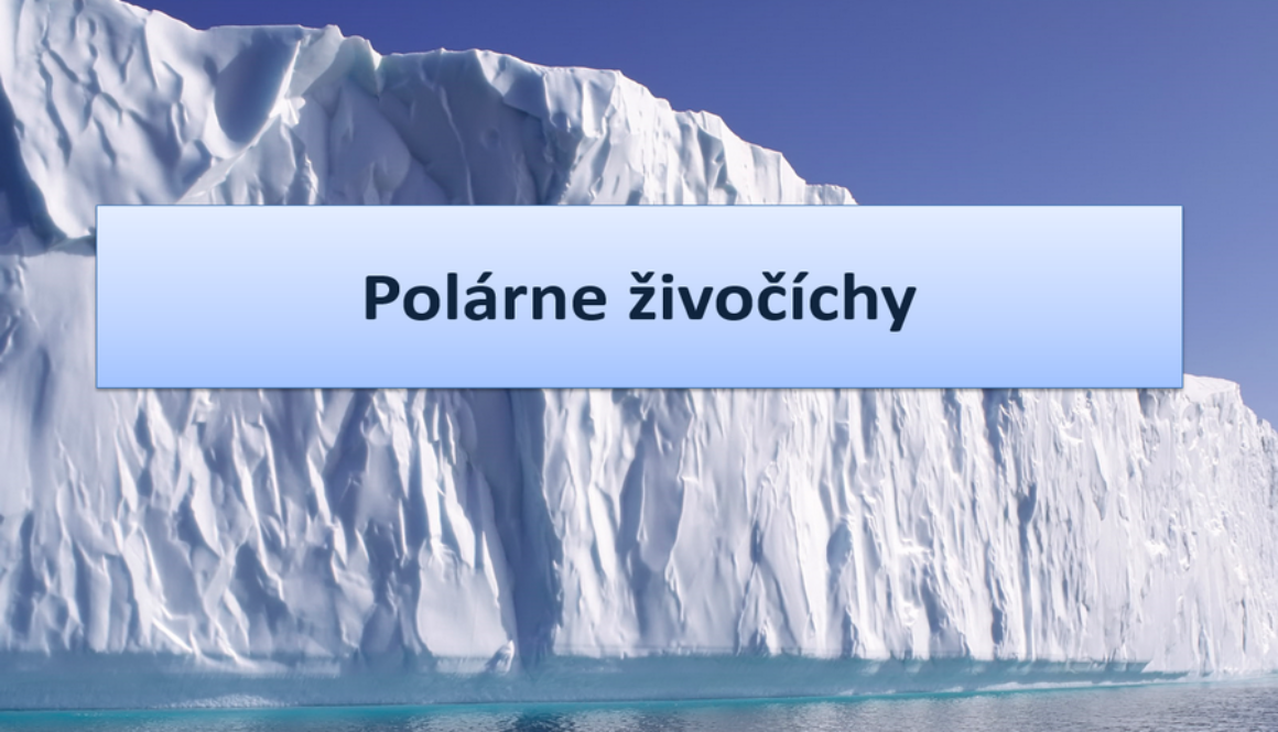 ppt-prezentacia-polarne-zivocichy ppt-prezentacia-polarne-zivocichy