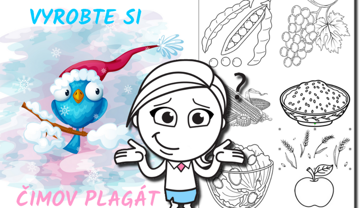 aktivita-vtaky-v-zime-plagat