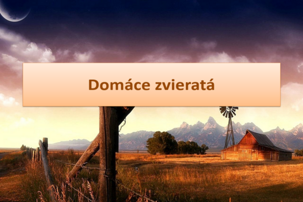 ppt-prezentacia-domace-zvierata